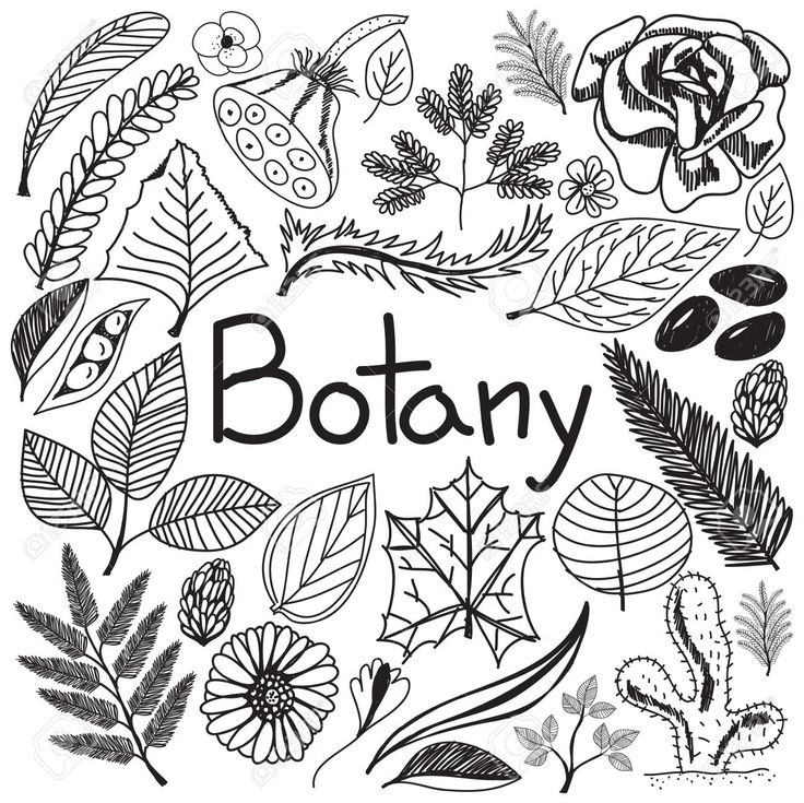 botany